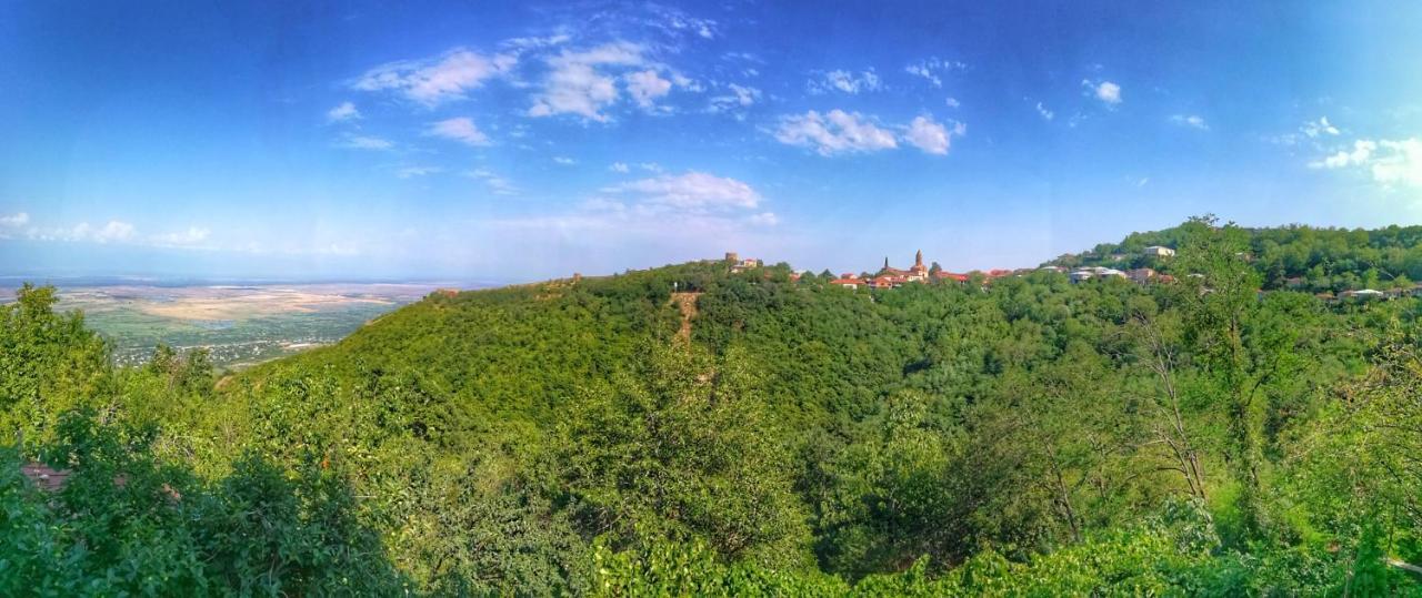 Favourite Apartment Sighnaghi Luaran gambar