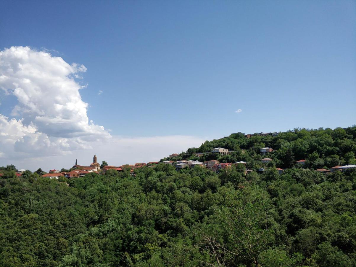 Favourite Apartment Sighnaghi Luaran gambar