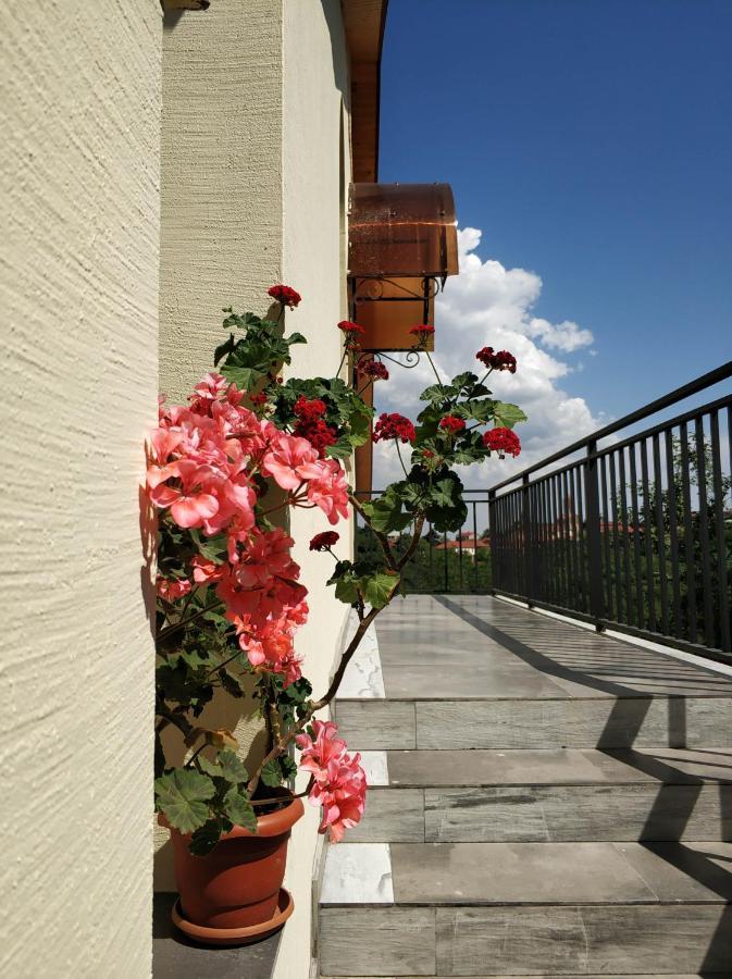 Favourite Apartment Sighnaghi Luaran gambar