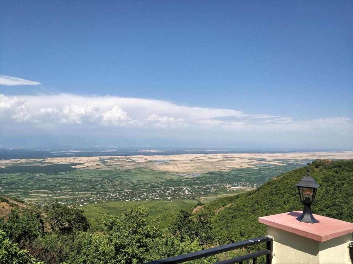 Favourite Apartment Sighnaghi Luaran gambar